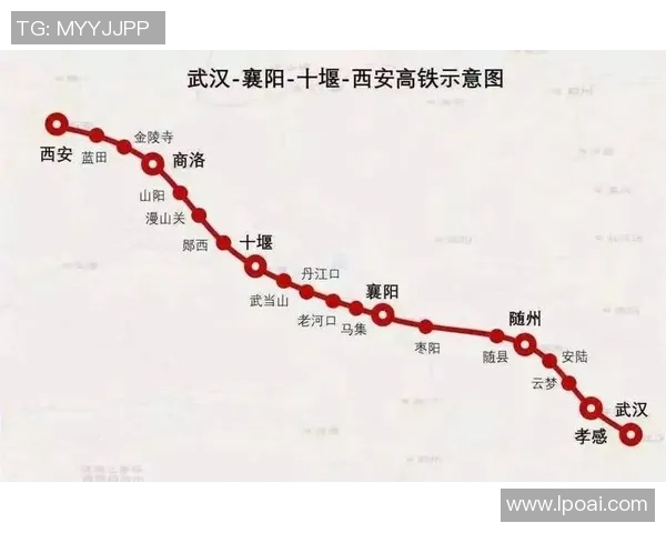 武汉排球队与西安排球队个人能力对比分析赛后复盘